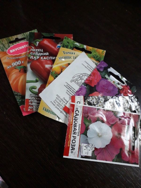 В чем подводные камни профессиональных гибридов: стоит ли их покупать?