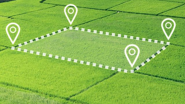 ����� �� ������ ����������� ������: ��� ���������� � ����� ��������